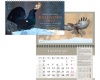 Remo Savisaare kalender Kood: 00364
